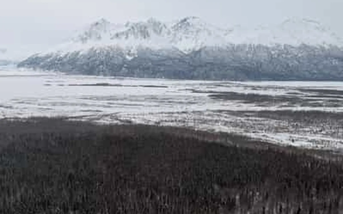 The braided channels of the Knik River below the glacier, Alaska