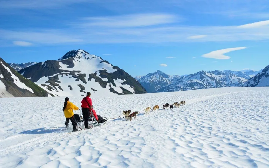 A sled dog team harnessed on a glacier in Alaska